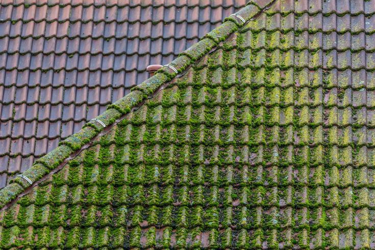 Démoussage et décontamination de tuiles de toiture par HDC Rénov Habitat